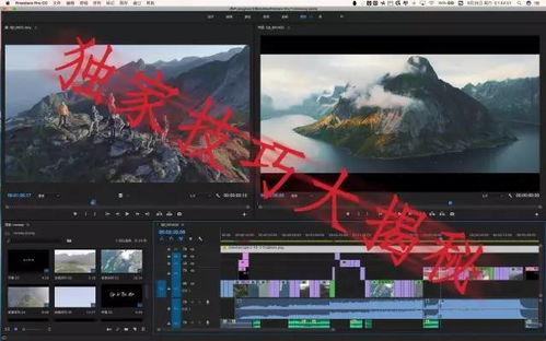 国外摄影师爆料网站视频,独家视频内容深度解析 第1张 国外摄影师爆料网站视频,独家视频内容深度解析 第1张